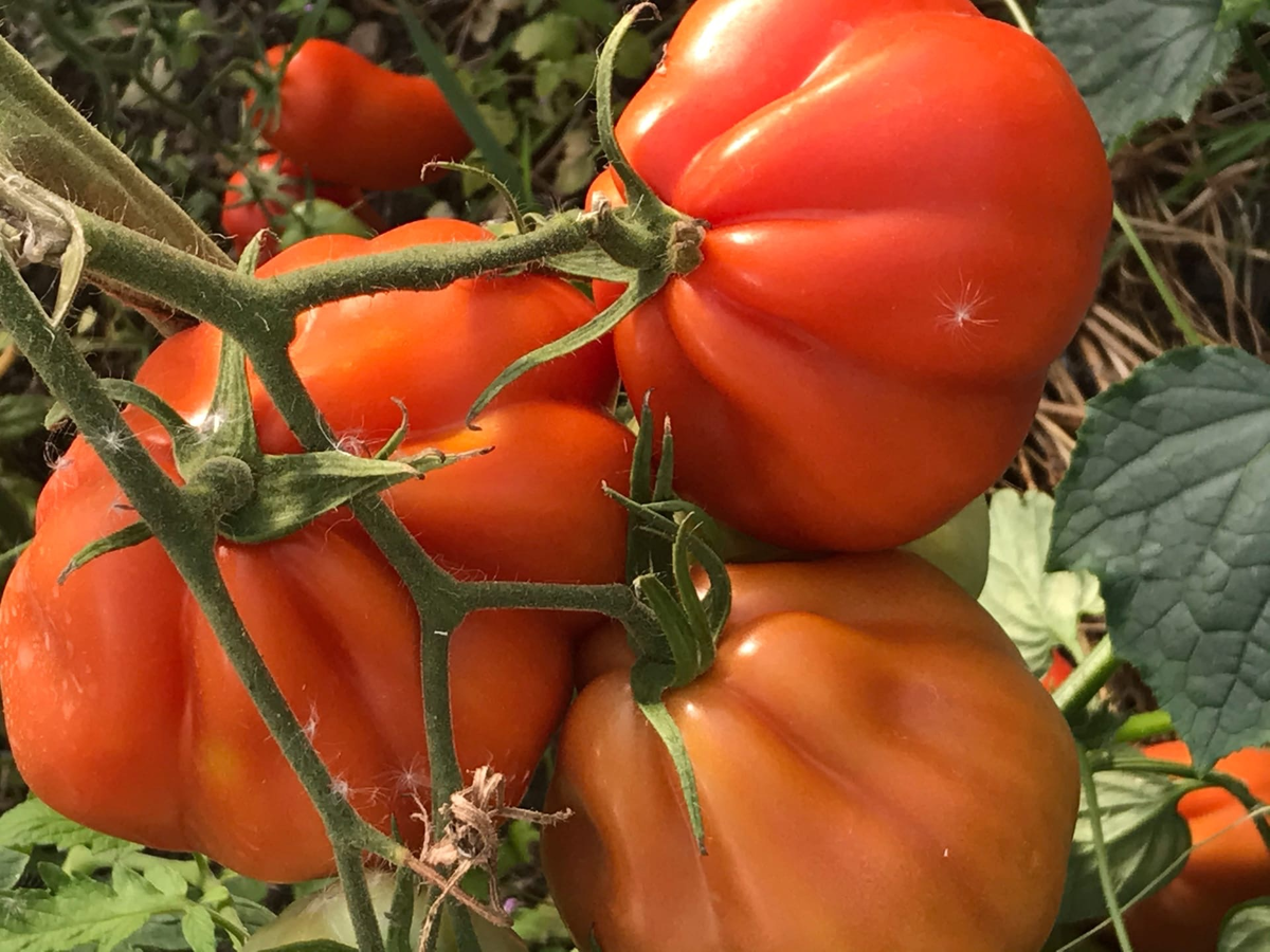 Фото из личного архива. 