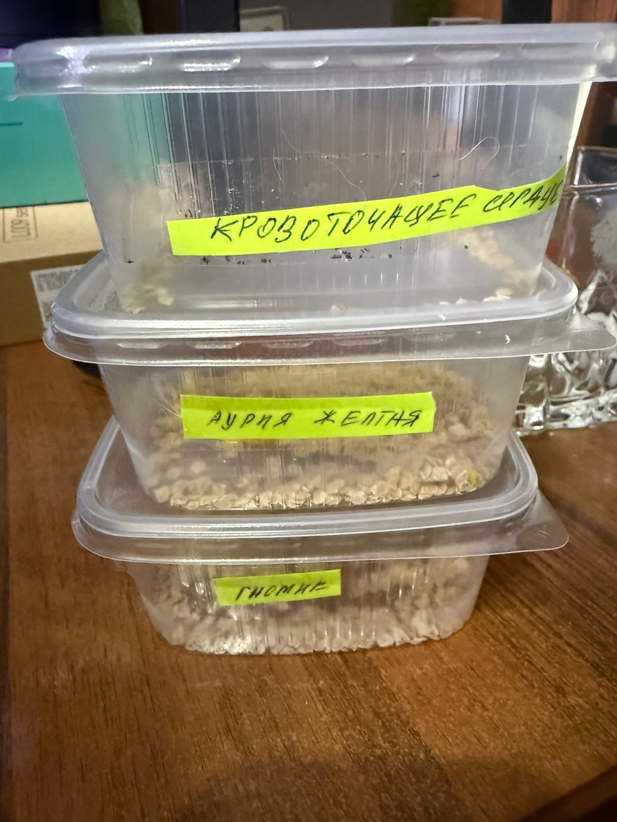 Вот видите, не так уж интересно 😒