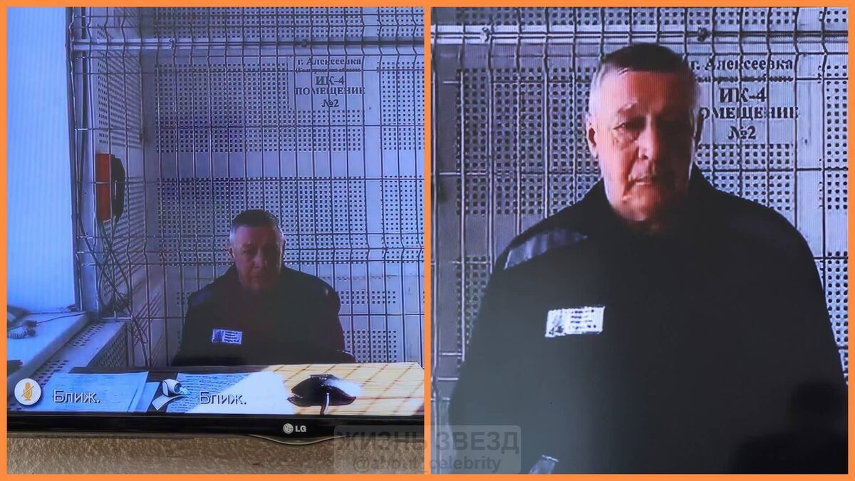 Михаил Ефремов вышел по видео связи для обращения к суду