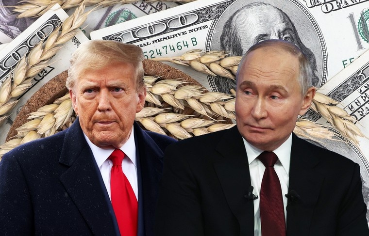    Иллюстрация NEWS.ru/Global Look Press