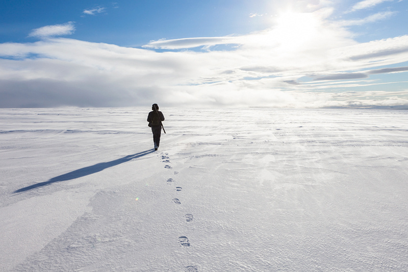 Фото Артема Келарева