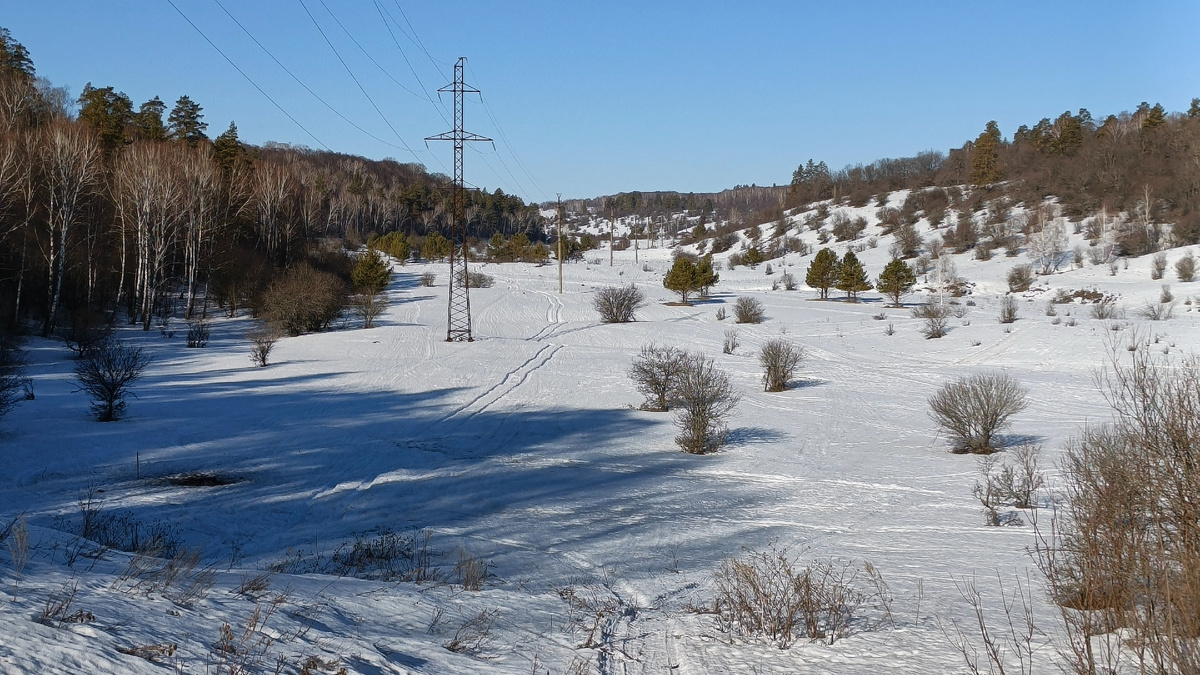 Вид на Ширяевский овраг в окрестностях урочища Чарокайка 23 марта 2025 года. Фото автора.