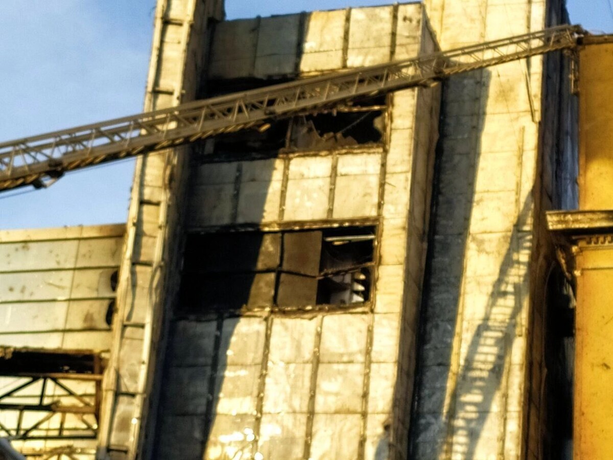     Источник: rostovgazeta.ru