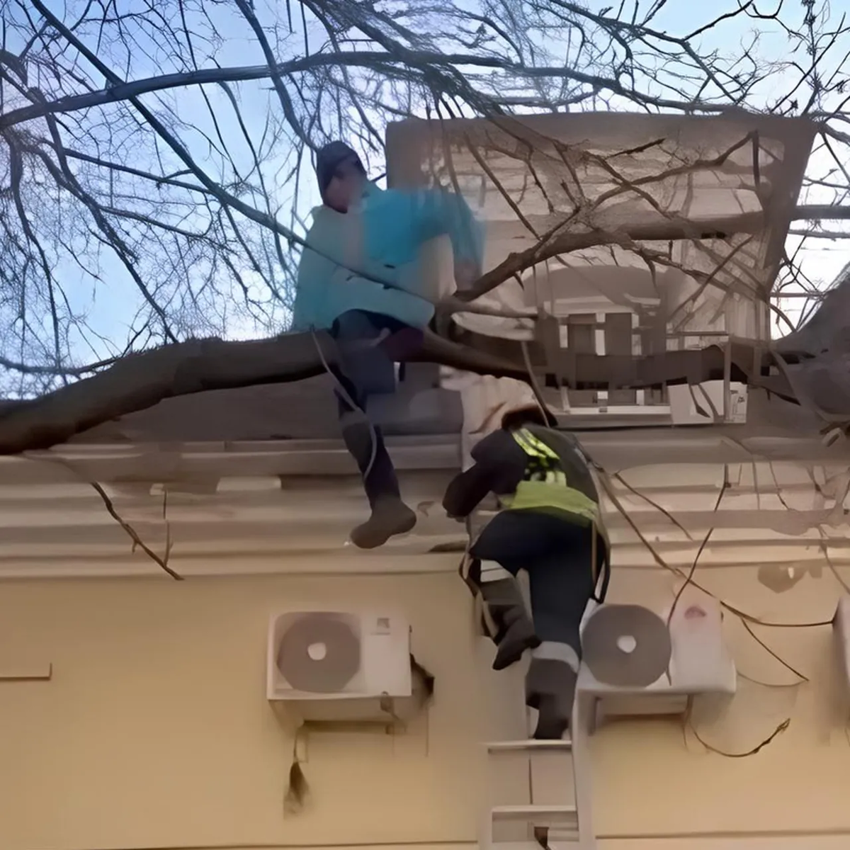 Курьер застрял на дереве/Рамблер