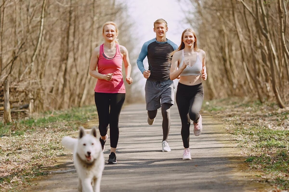    Эксперт Саад рассказал о важности разминки перед кардиотренировками