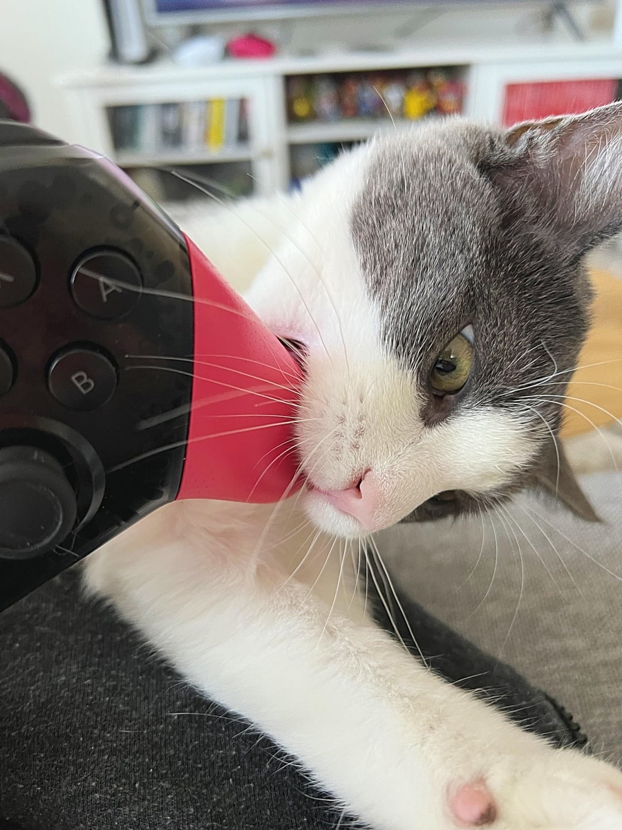 Источник: redd.it