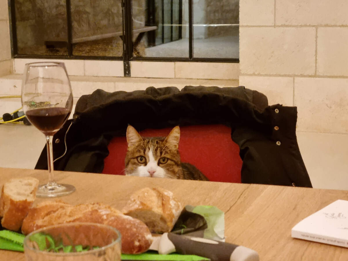    CC0 Всеобщее достояние