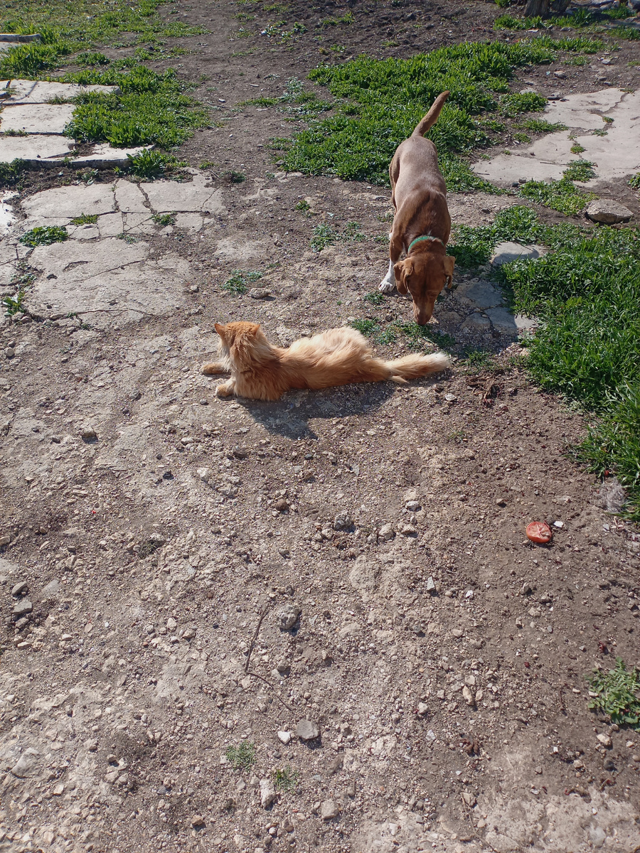 К Мармадюку  старается близко не подходить