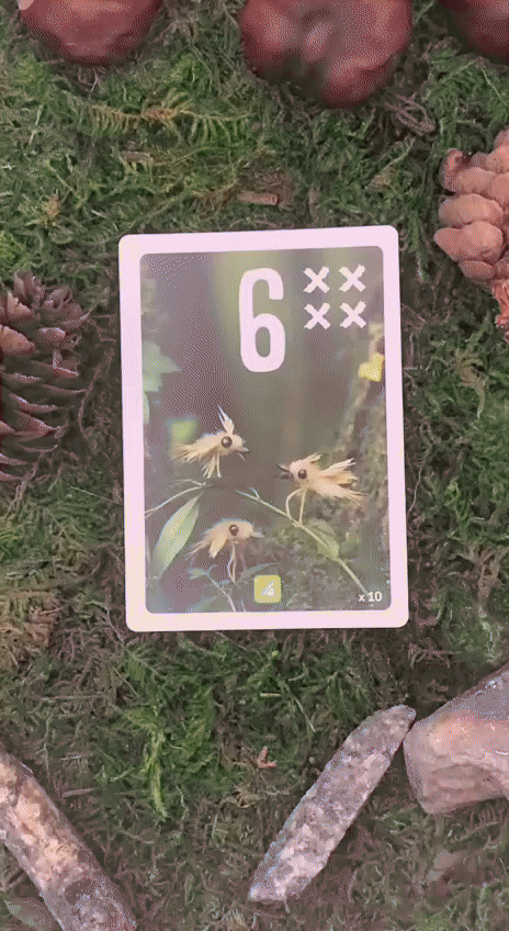 Закрепление карты