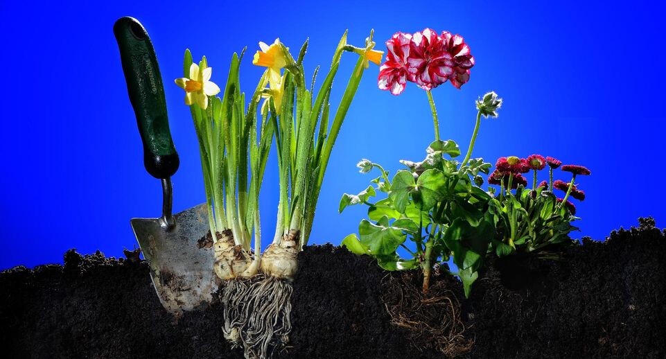    Jan Walter/http://imagebroker.com/#/search/ / www.globallookpress.com