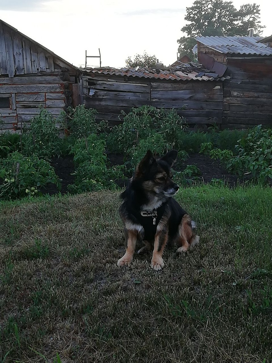 Счастье есть,оно в мелочах,оно внутри