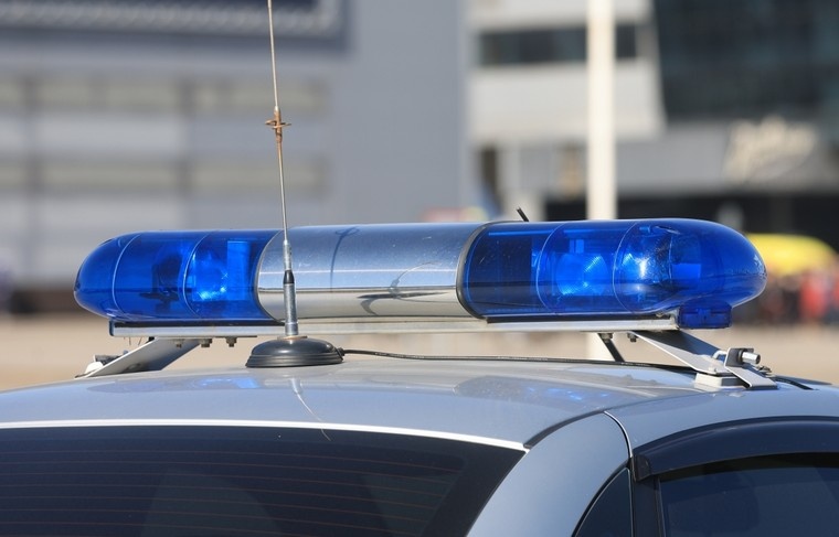    Наталья Шатохина/NEWS.ru