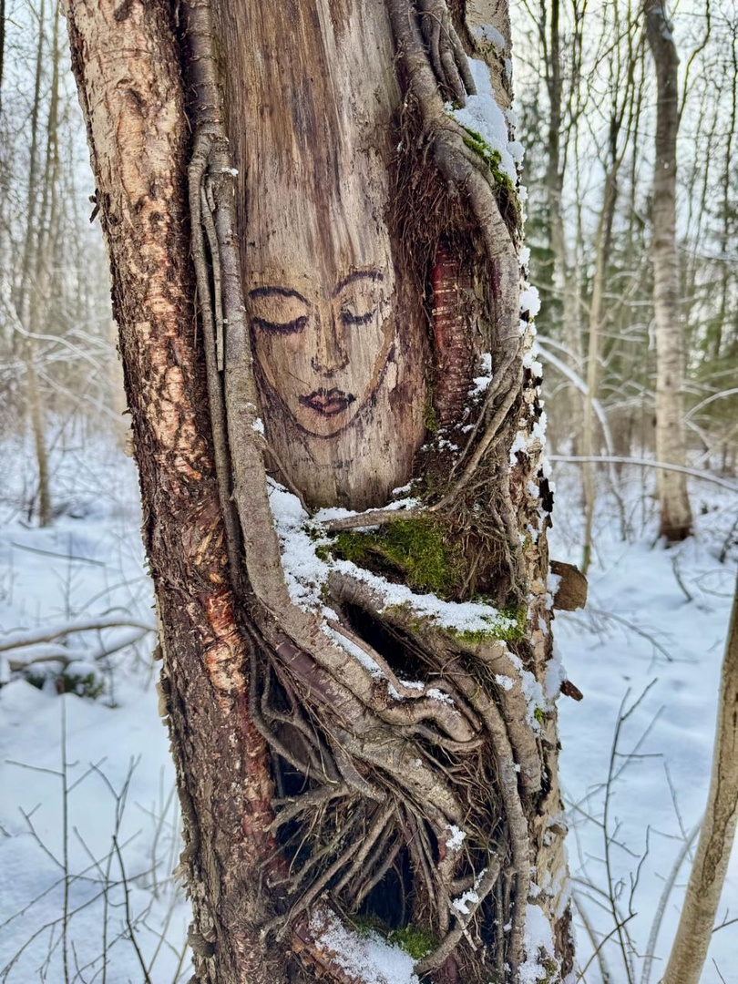 цвет природы