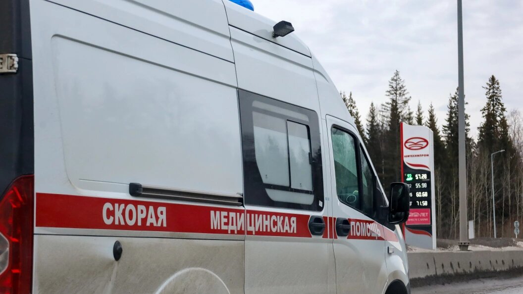    Елена Майорова/Global Look Press