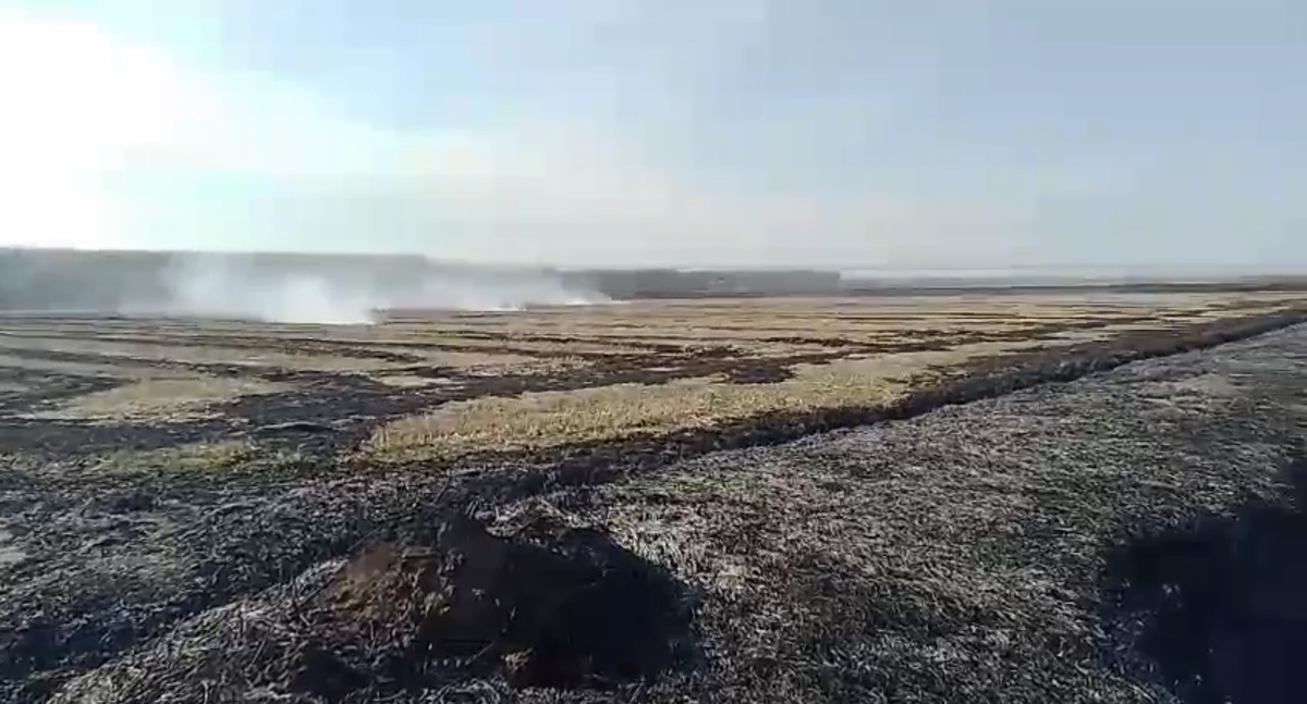 Фото: telegram-канал «Краснодар. Телетайп»