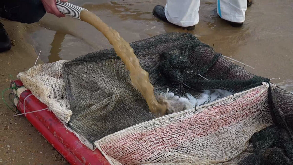    Фото: Оперштаб Краснодарского края