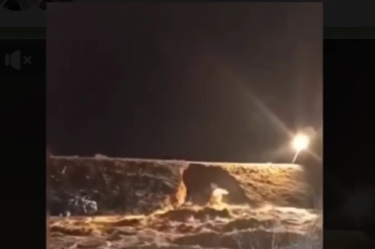    Сплошная вентиляция!Дамба в Орске оказалась не готова к новому паводку