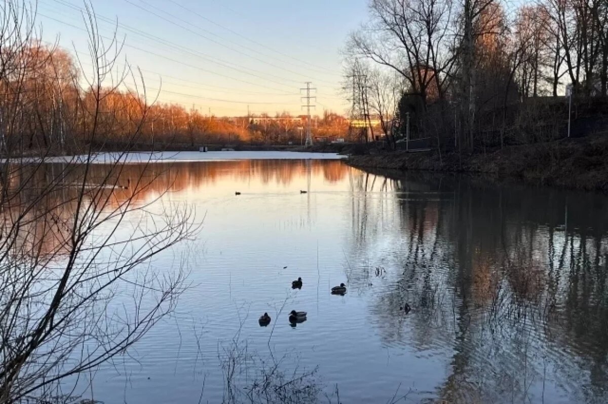    25 марта в Туле ожидается снег с дождём и сильный ветер
