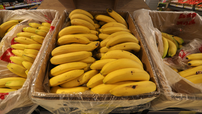      Фото: Дмитрий Ахмадуллин / / ИА «Победа26»