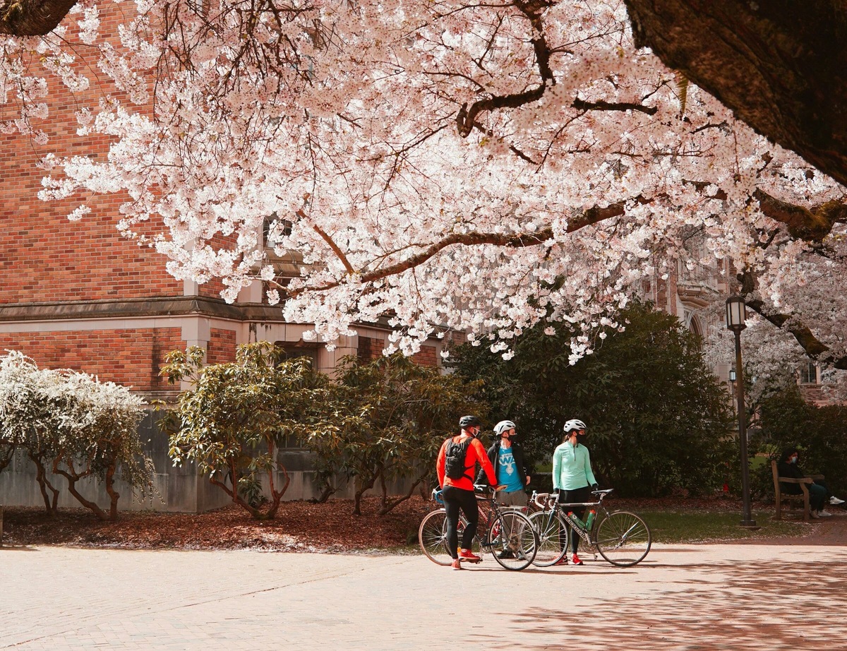 Фото: Eunice Choi / Unsplash