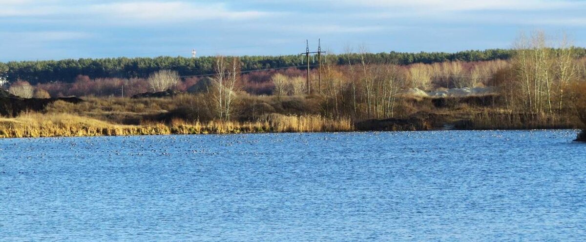    Завершено расследование хищения бюджетных средств, выделенных на очистку Сейма в Курской области