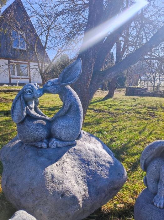 Заячья полянка для фотосессий
Фото: из группы подворья «Птичий дворик» в соцсети «ВКонтакте»