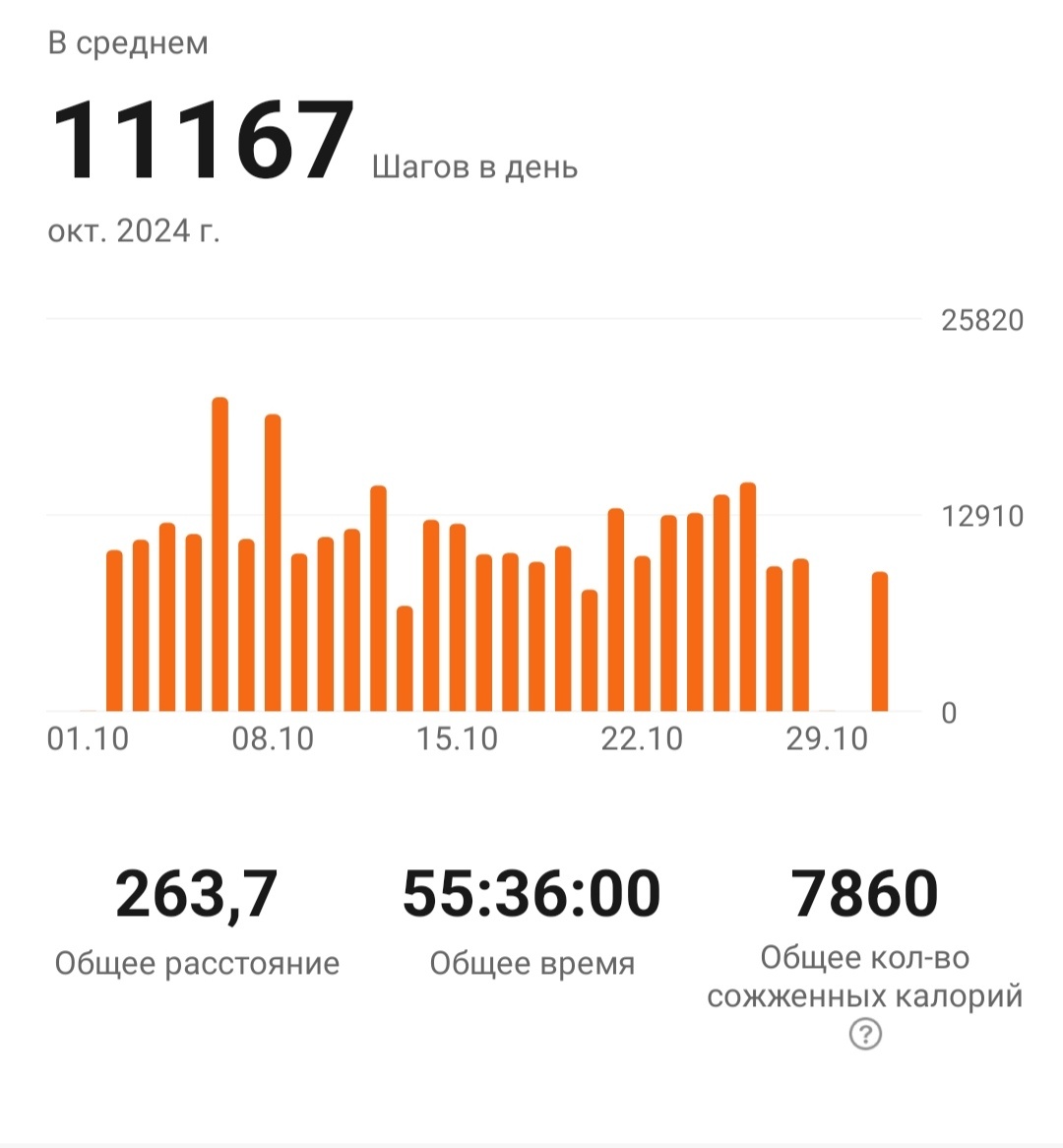 Статистика за октябрь 2024