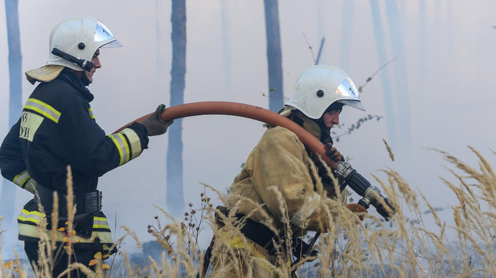Фото: Олег Харсеев / Коммерсантъ