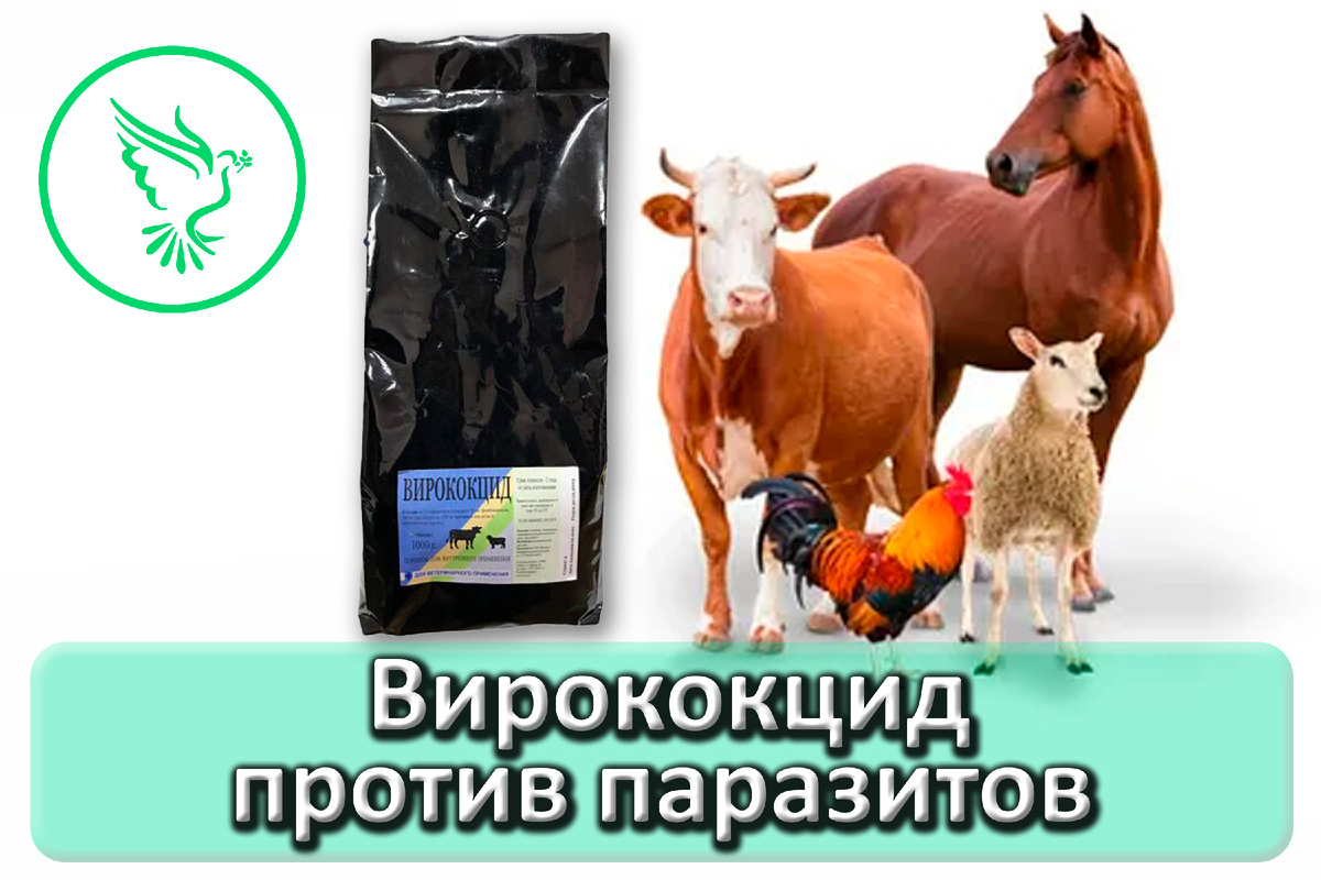 Вирококцид — эффективное решение