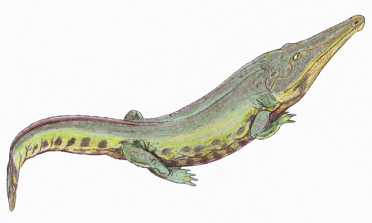 Эоциклотозавр от Дмитрия Богданова.