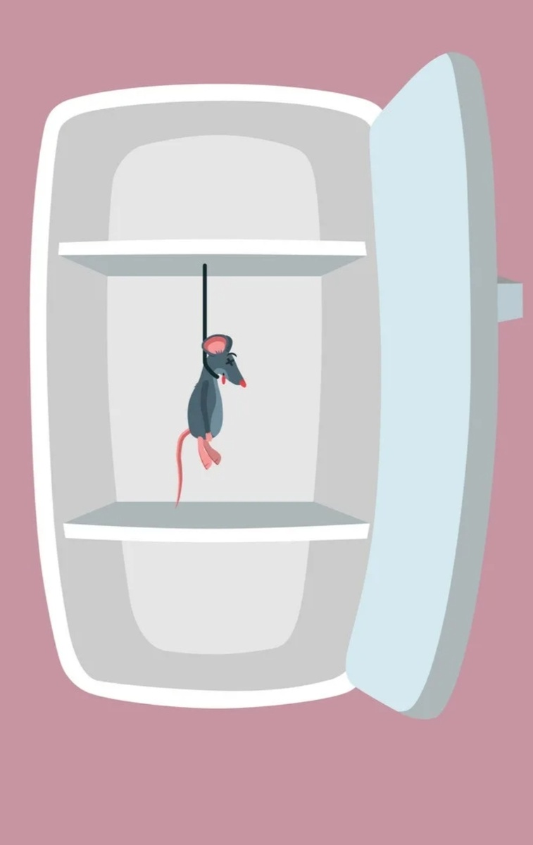 Картинка с интернета