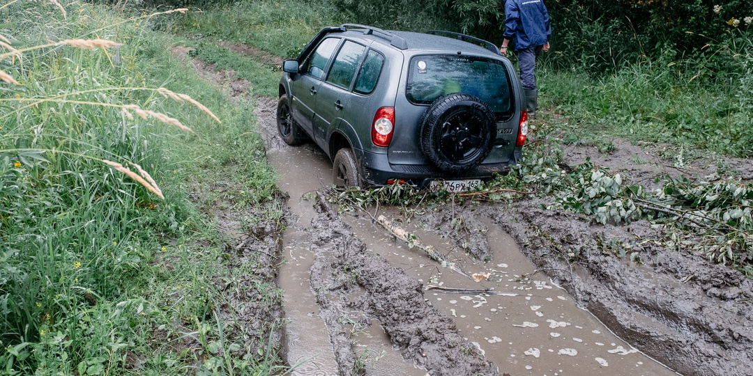 Не помогут и навредят: распространенные заблуждения о выживании в лесу
