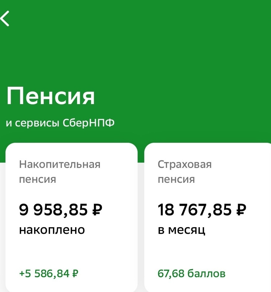 Фото скрин шот из Сбера. 