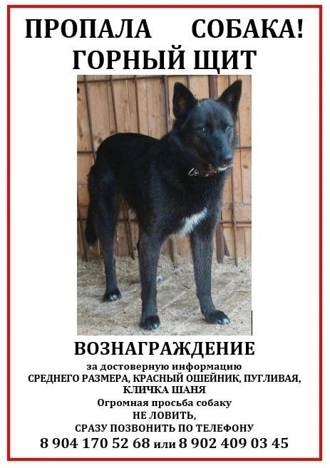 Екатеринбург от нас 380 км.