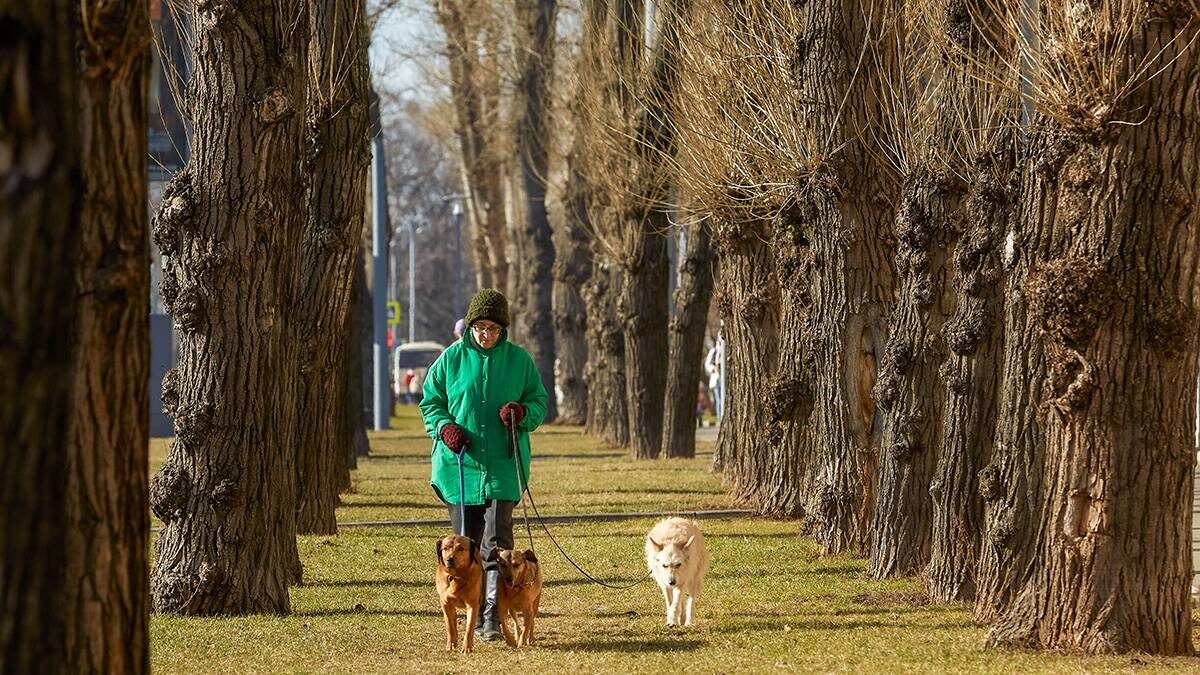    Фото: Дмитрий Белицкий / АГН Москва