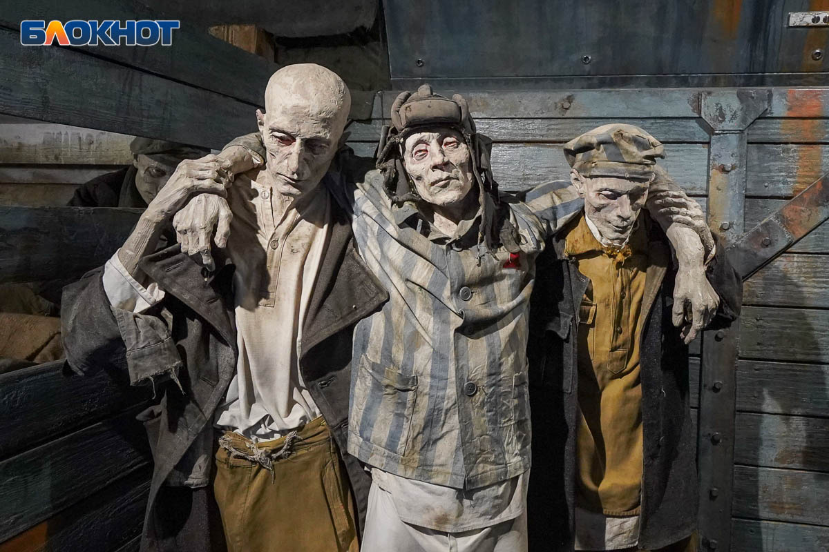 Фото: Виктор Ястребов

