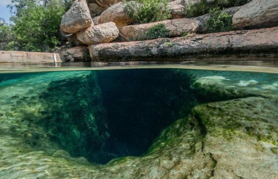 изображение добавлено с сайта ru.pinterest.com