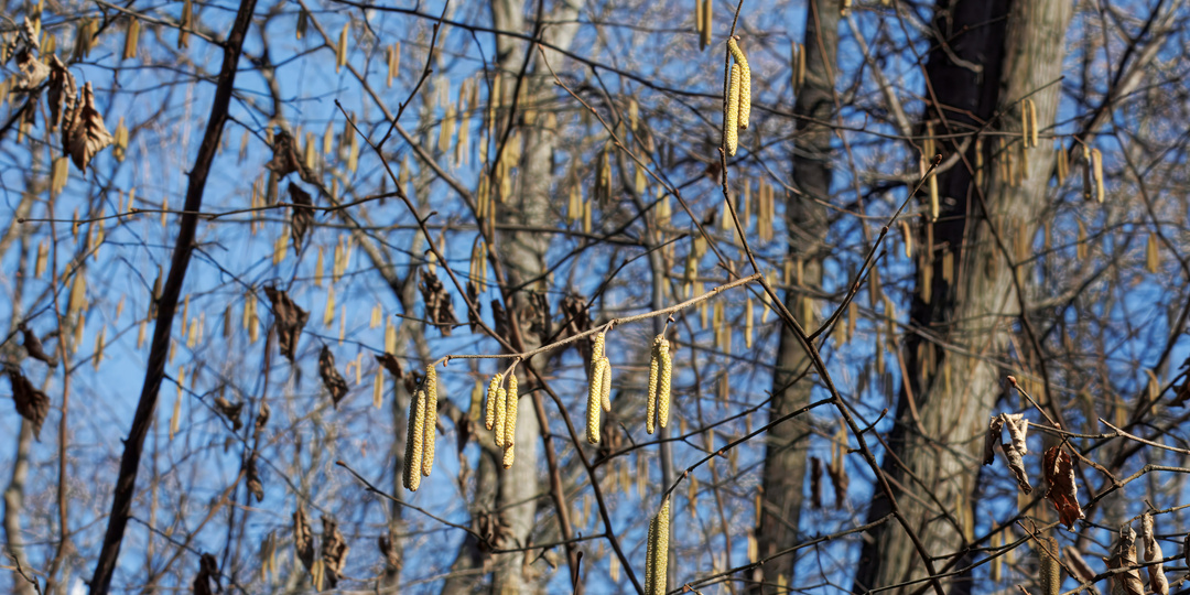 8 марта. Филевский парк часть 1