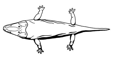 Стенотозавр.