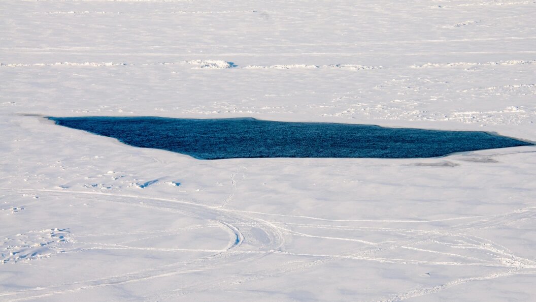    Светлана Возмилова/Global Look Press