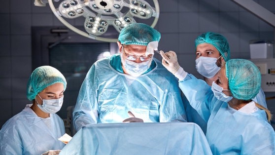    Создана первая в России эндосистема для замены поврежденных суставов: она заменит импортные аналоги ©Roman Chazov/Shutterstock/Fotodom