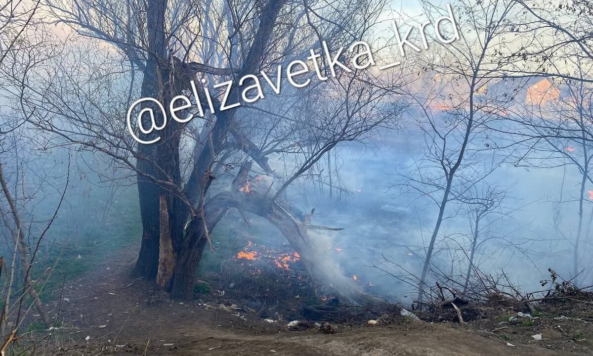    Фото t.me/elizavetka_krd