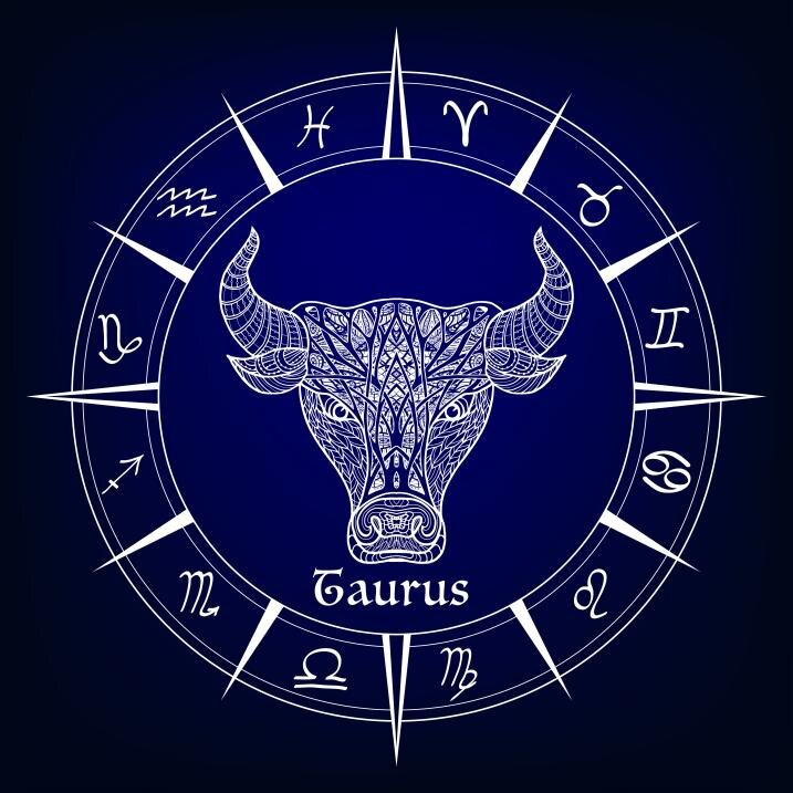 фотография взята из открытого информационного источника