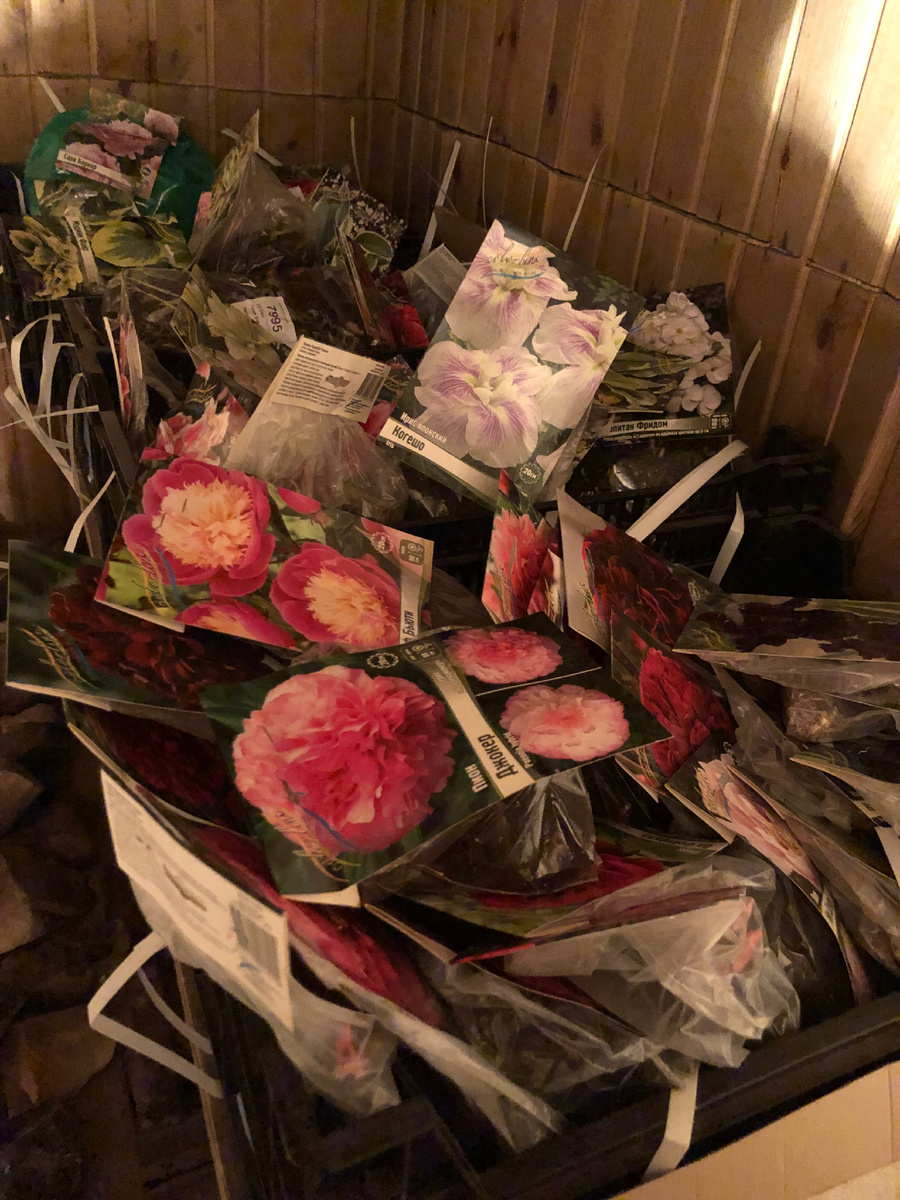 В ящиках я уже порылась, а пришло всё аккуратно уложенное