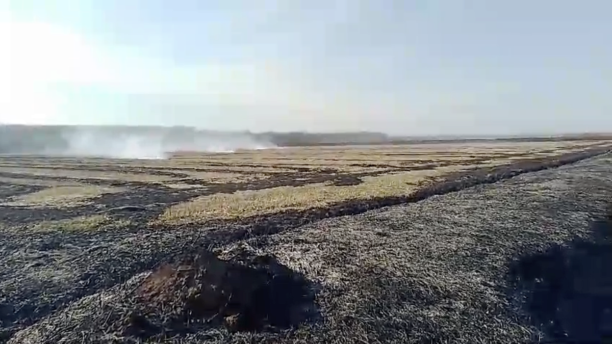    Фото: ЕДДС Краснодара