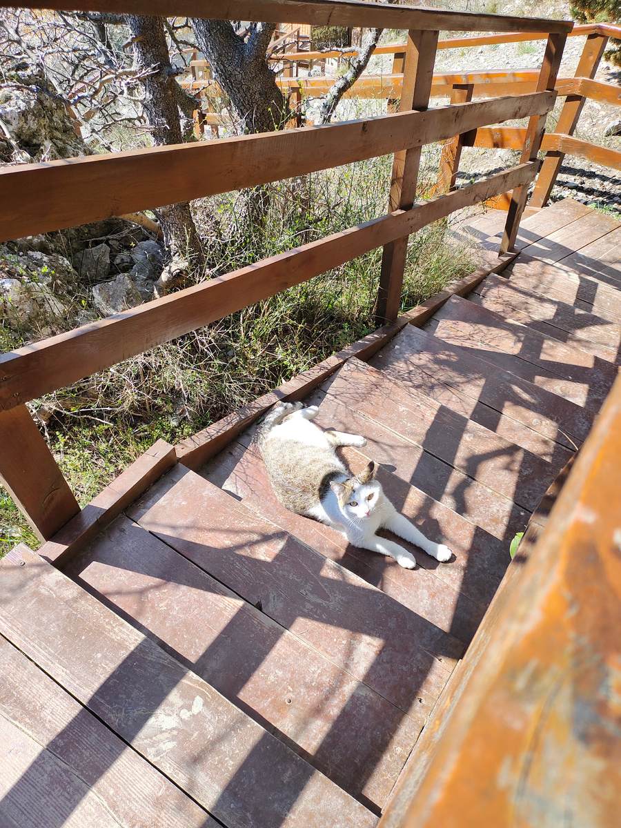 Нет еды - нет прохода!