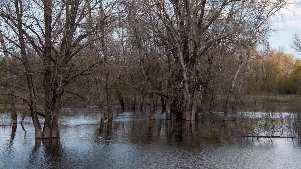 Фото: Svetlana Vozmilova/globallookpress.com