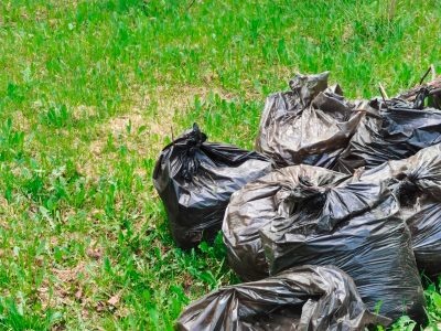    Фото: ГТРК "Карелия"