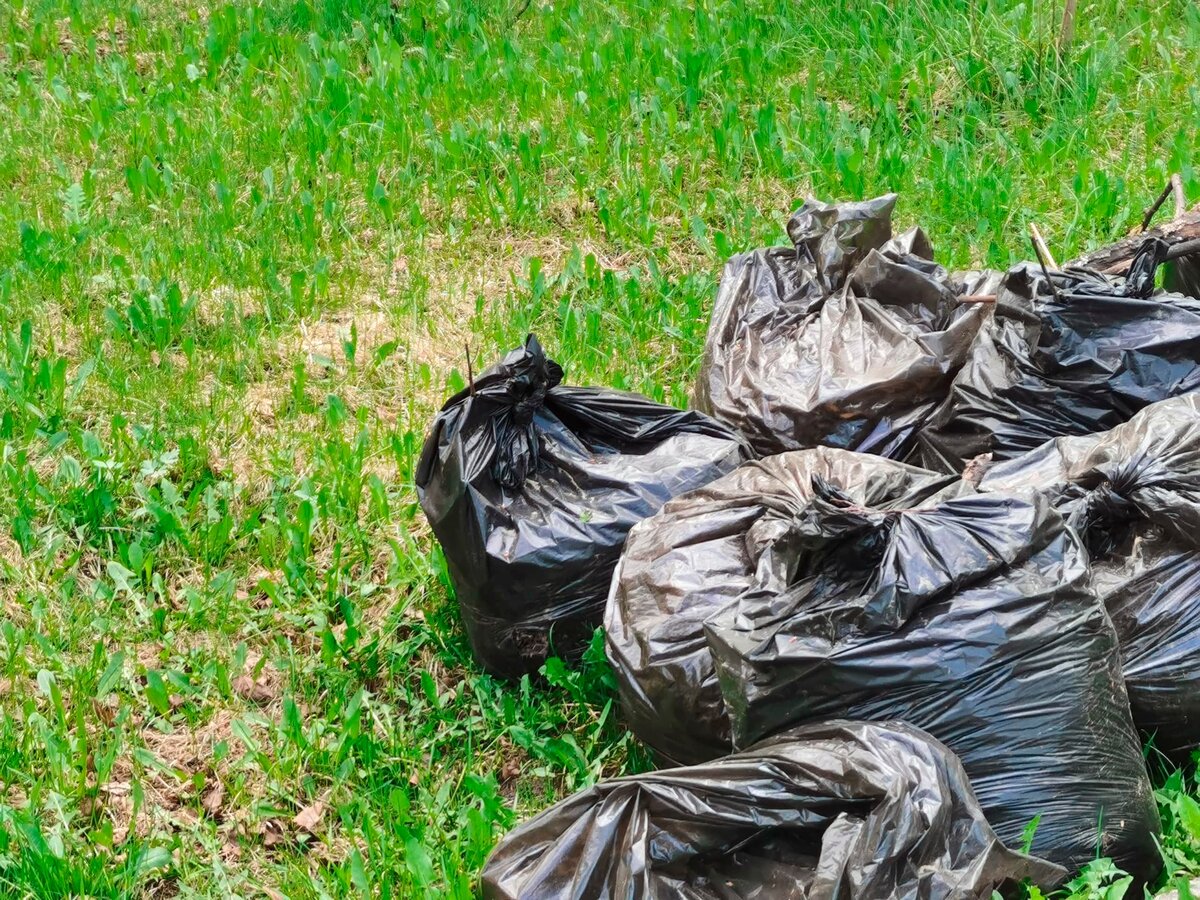    Фото: ГТРК «Карелия»