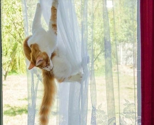 Покоряю вершины дома! Я – альпинист домашний!